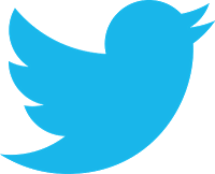 New #Twitterbird: What your business needs to know