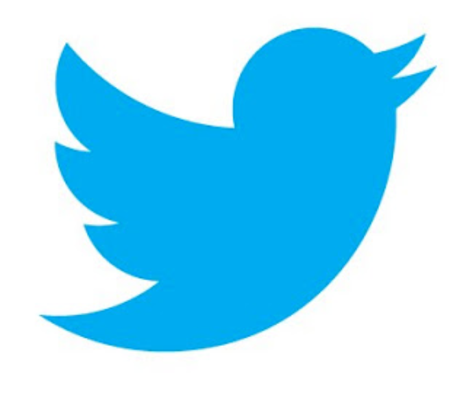 On prend notre envol : #Twitterbird