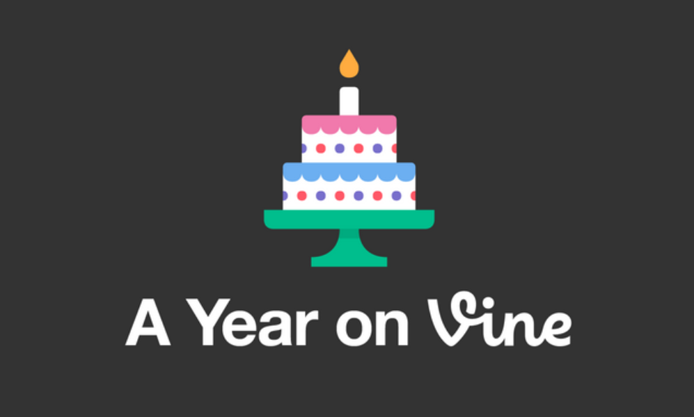 Vineが1歳の誕生日を迎えました