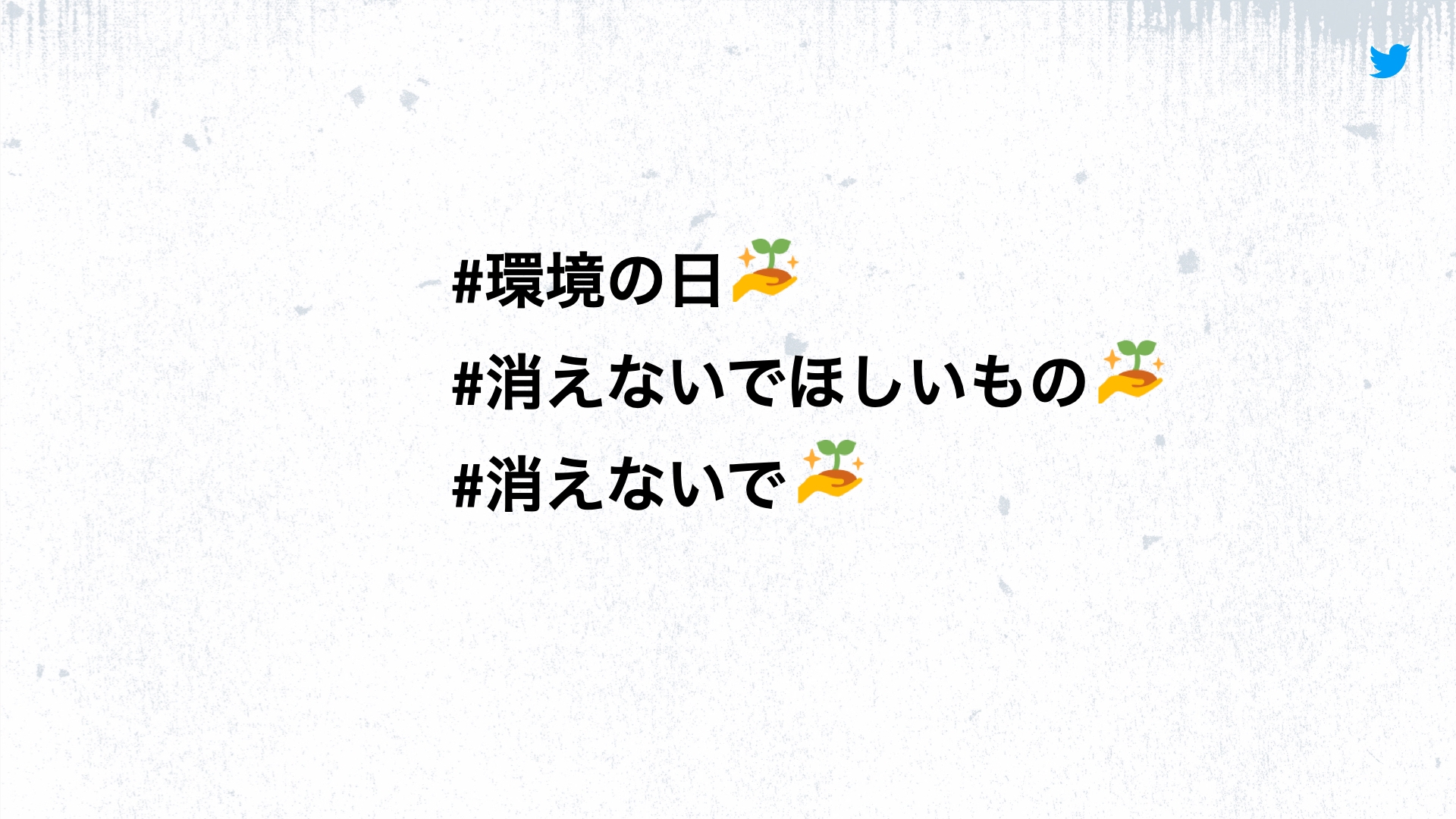 環境の日 消えないでほしいもの を募集