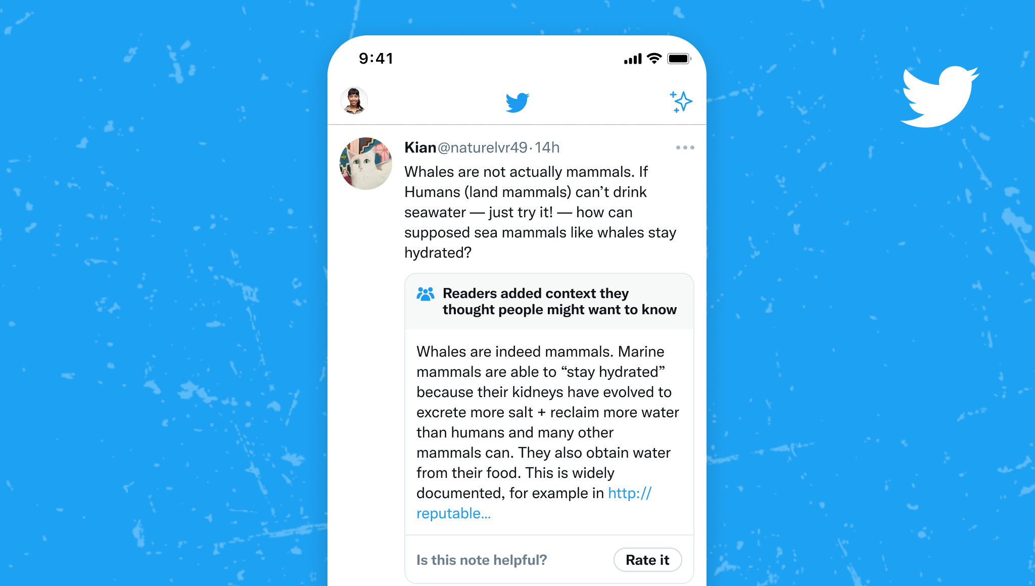 How to see community notes on twitter - TechStory