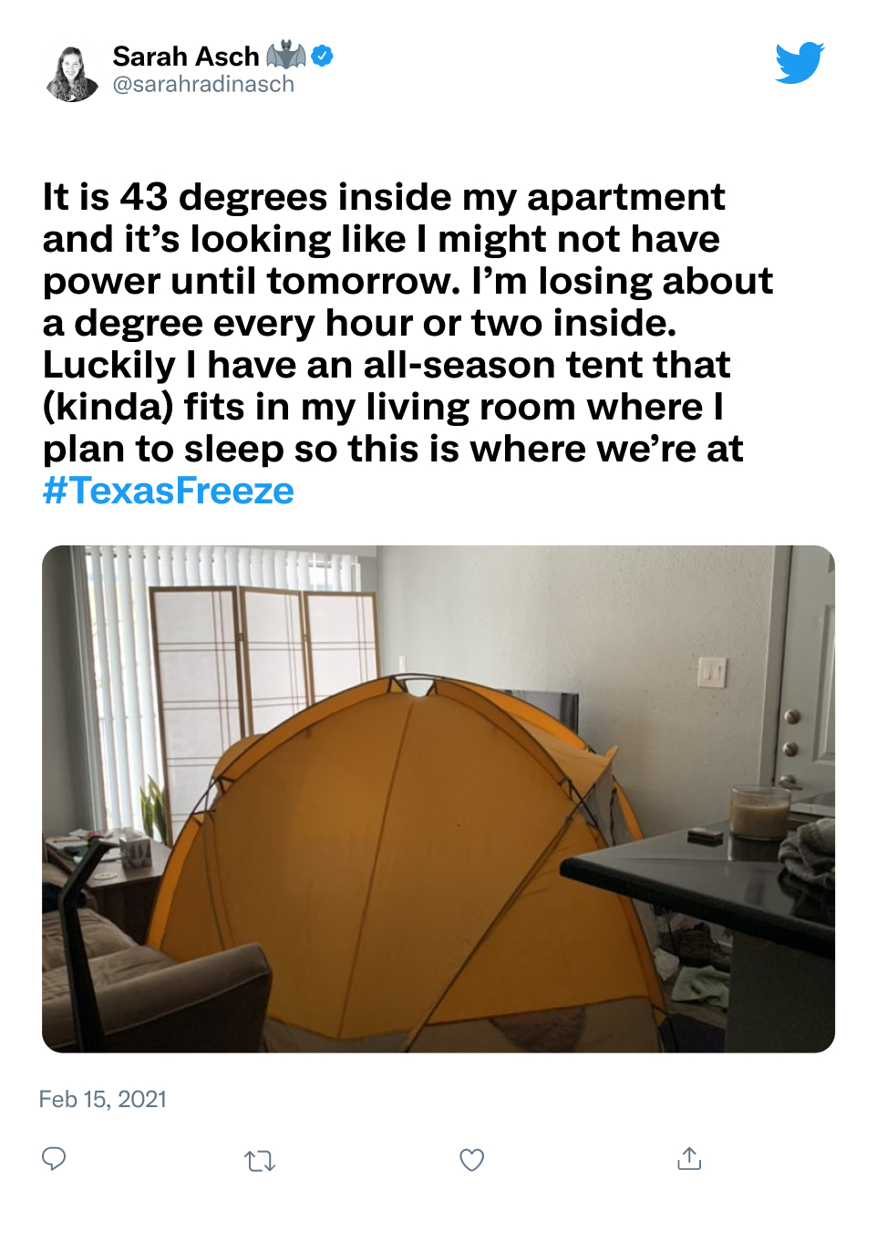 テキサス州寒波の画像