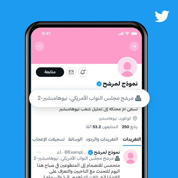 مثال على ملف شخصيّ لمرشح مع ملصق يفيد بأنه "مرشح مجلس النواب الأمريكي، NH-2"