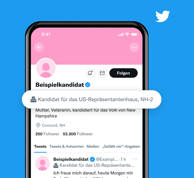 Beispiel für das Profil einer Kandidatin für das US-Repräsentantenhaus im Distrikt NH-2