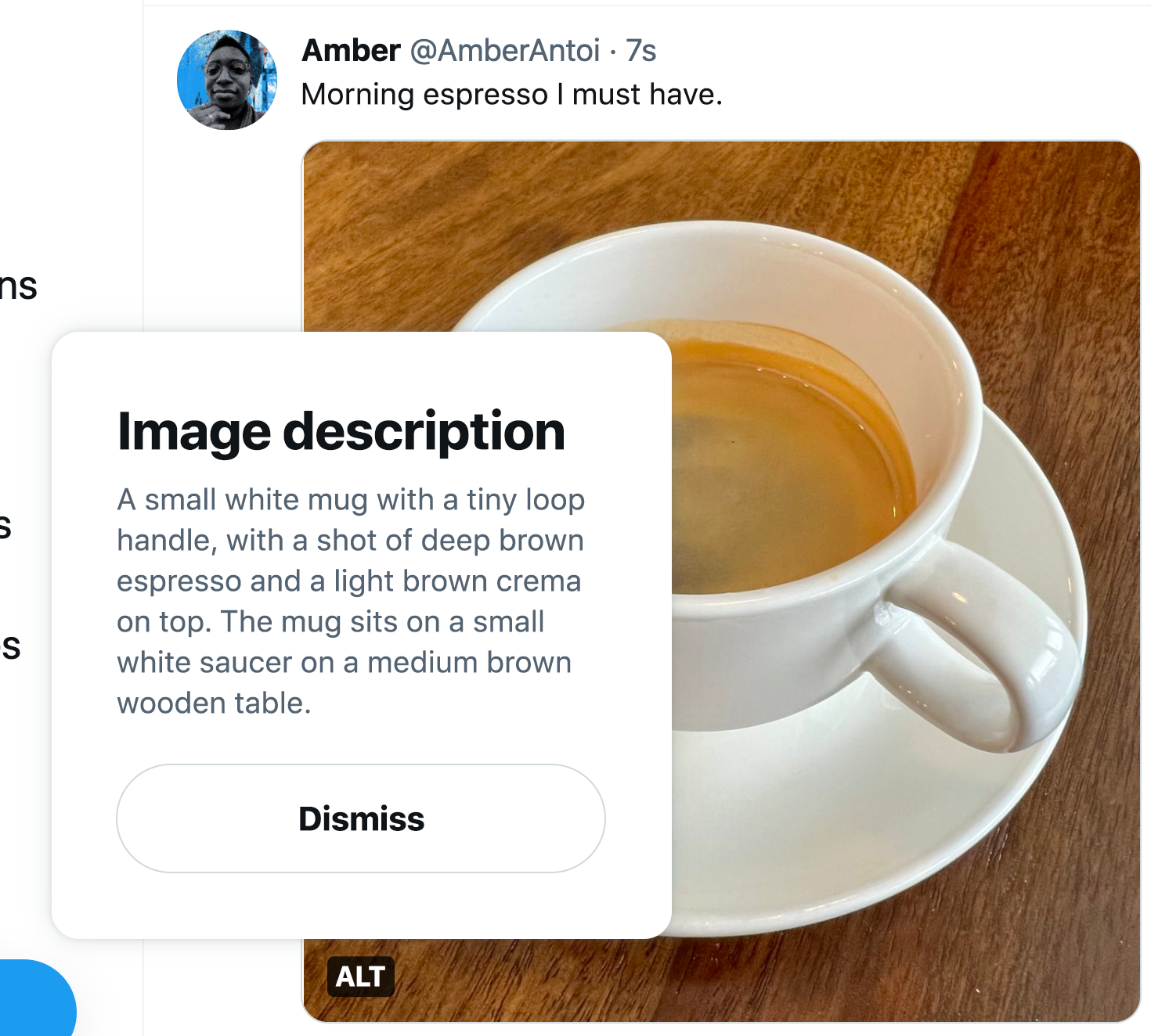 Screenshot of the posted Tweet with the image description dialog displayed above the ALT badge, on top of the image. “Image description” is the title, and a dismiss button comes after the description.