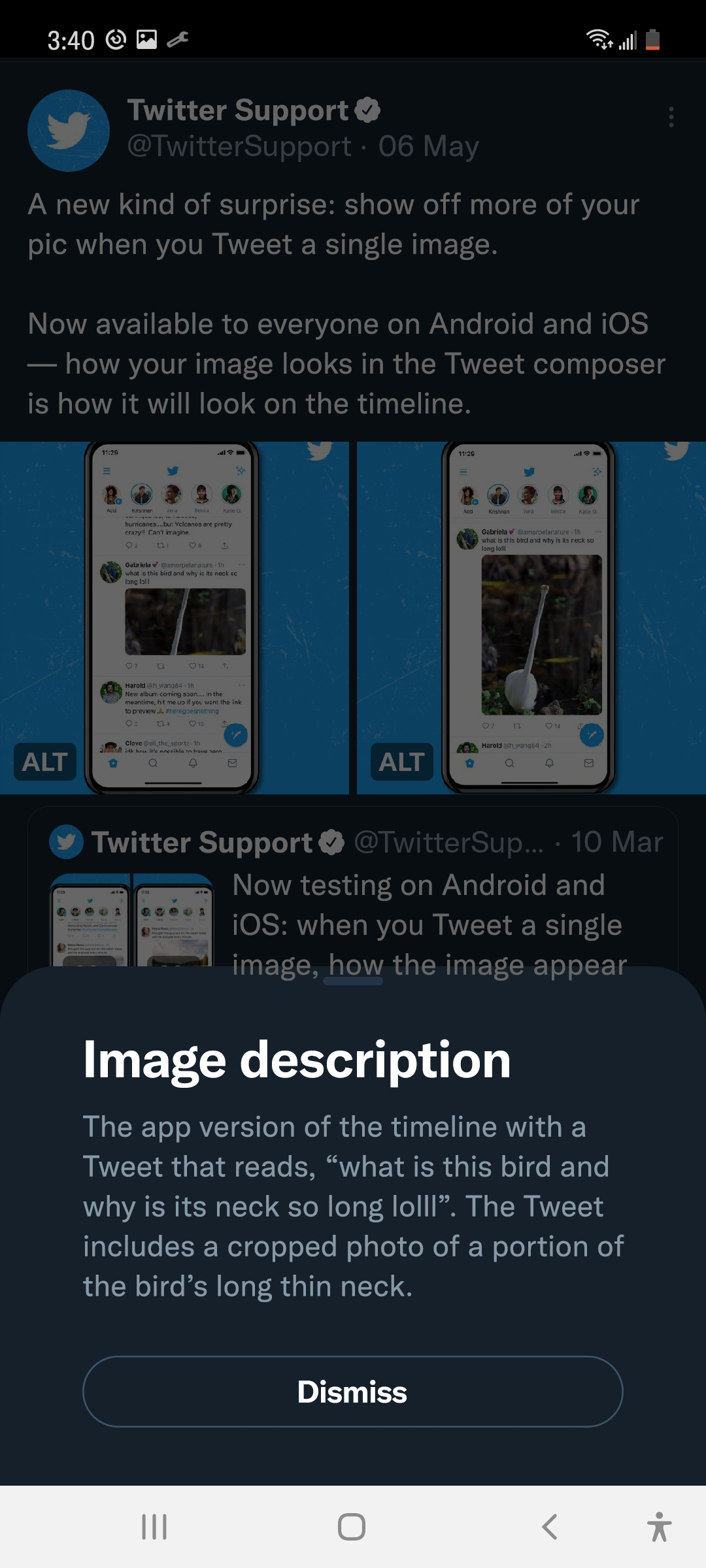 How to Download GIF from Twitter on Android, iPhone & Web