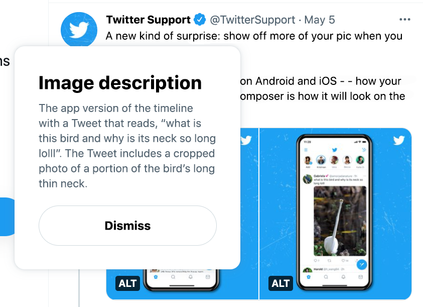 How to Download GIF from Twitter on Android, iPhone & Web