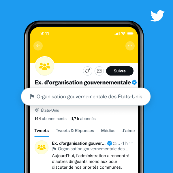 Exemple d'un profil d'organisation gouvernementale dont le libellé indique qu'il s'agit d'une organisation gouvernementale américaine