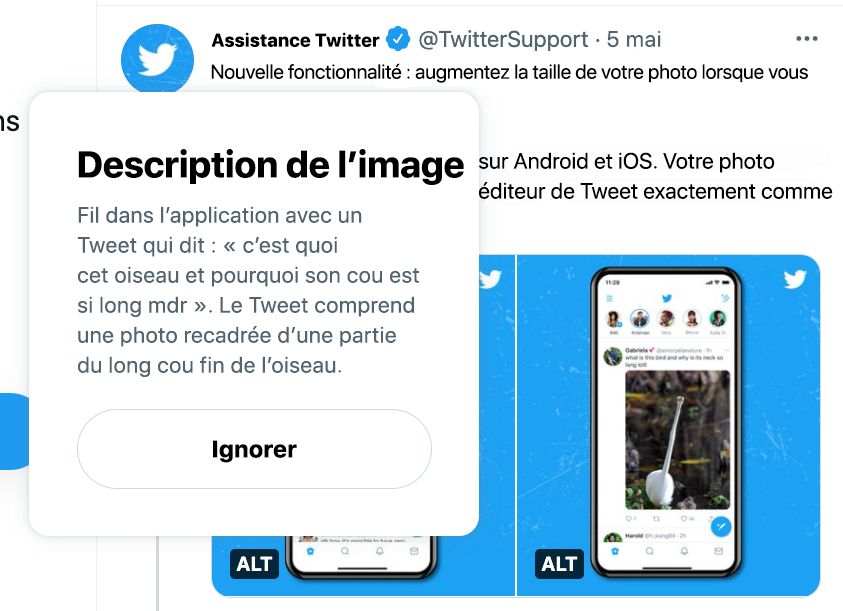 Capture d'écran d'un Tweet de @TwitterSupport montrant la description de l'image au-dessus du badge ALT sur l'application Web. Le Fil est en arrière-plan.