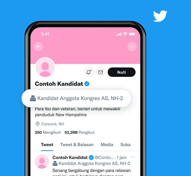 Contoh profil kandidat dengan label "Kandidat Dewan AS, NH-2"
