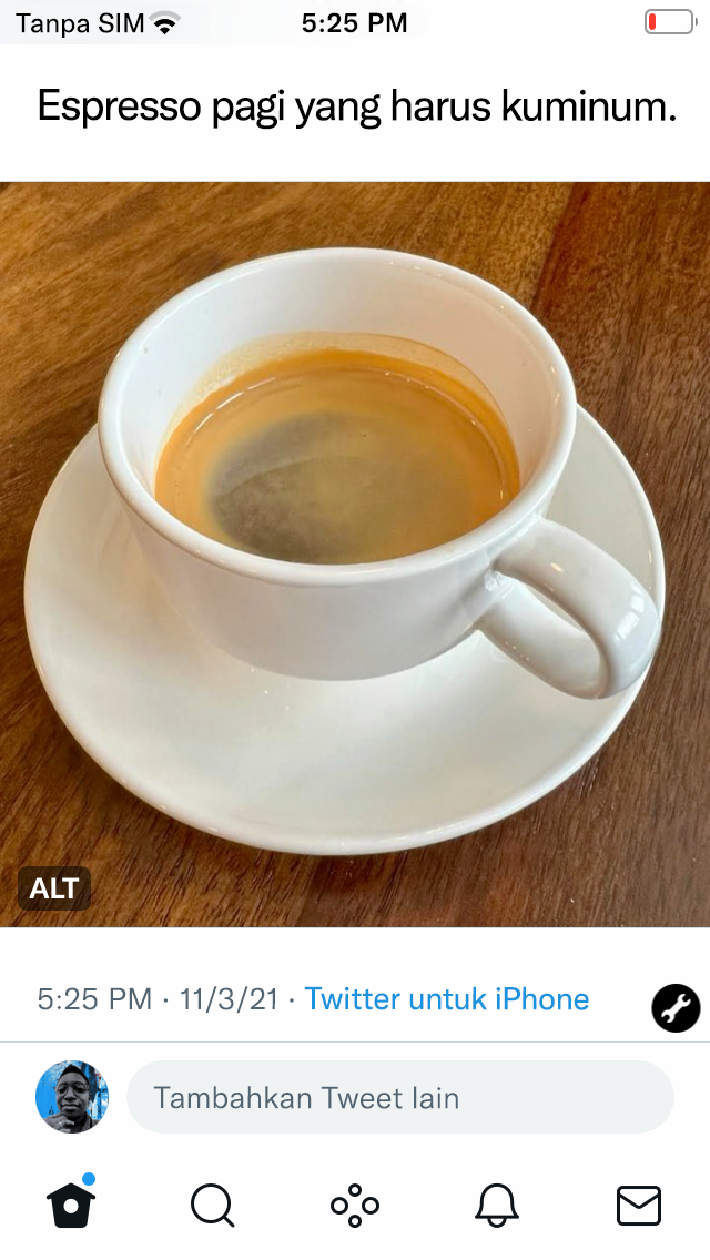 Tangkapan layar Tweet yang sudah diposting dengan lencana ALT pada gambar.