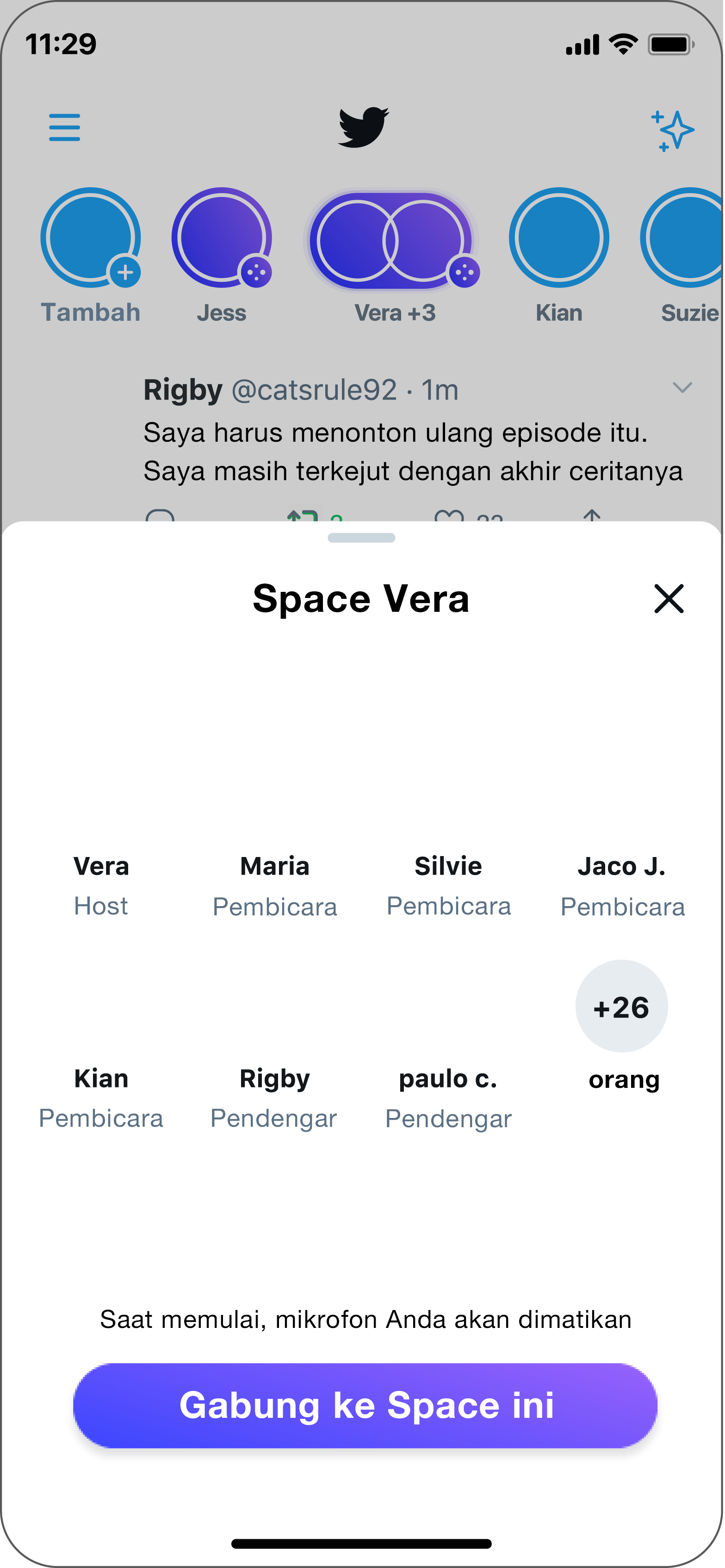 Tentang X Spaces