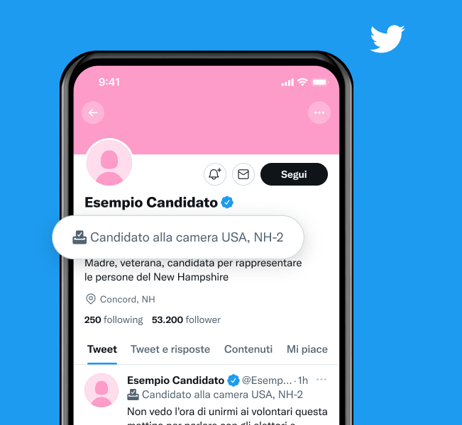 Esempio del profilo di un candidato con un'etichetta che dice "candidato alla Camera dei rappresentanti negli Stati Uniti, secondo distretto congressuale del New Hampshire"