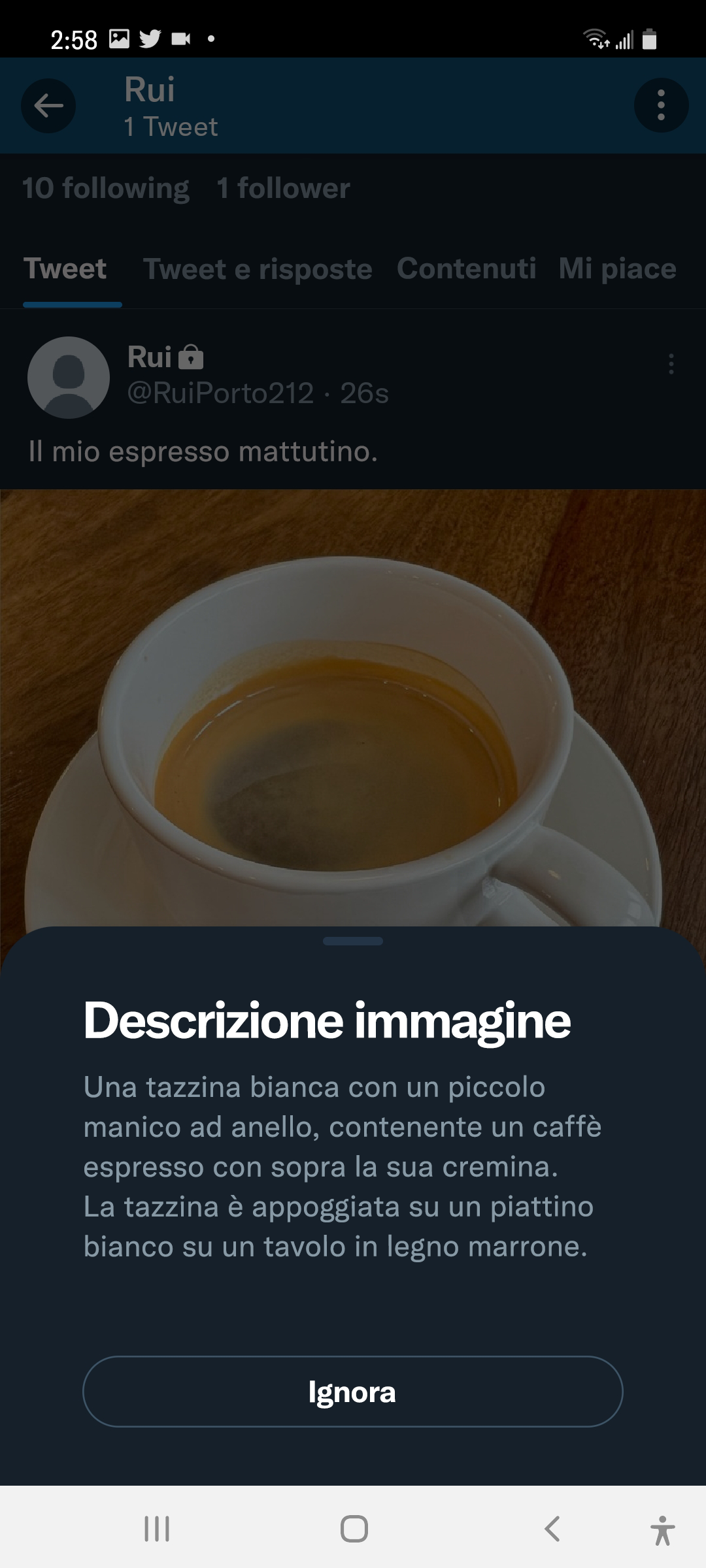 Screenshot del Tweet pubblicato con la descrizione immagine visualizzata. "Descrizione immagine" è il titolo e dopo la descrizione viene visualizzato un pulsante Ignora.