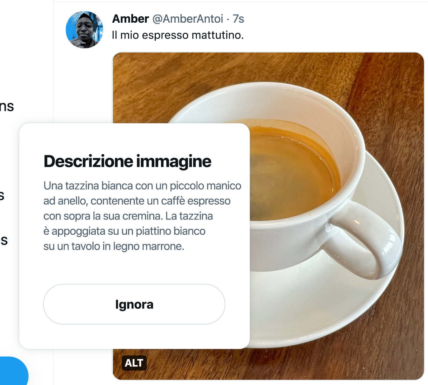 Screenshot del Tweet pubblicato con la finestra di dialogo della descrizione immagine visualizzata sopra l'etichetta ALT, sopra l'immagine. "Descrizione immagine" è il titolo e dopo la descrizione viene visualizzato un pulsante Ignora.