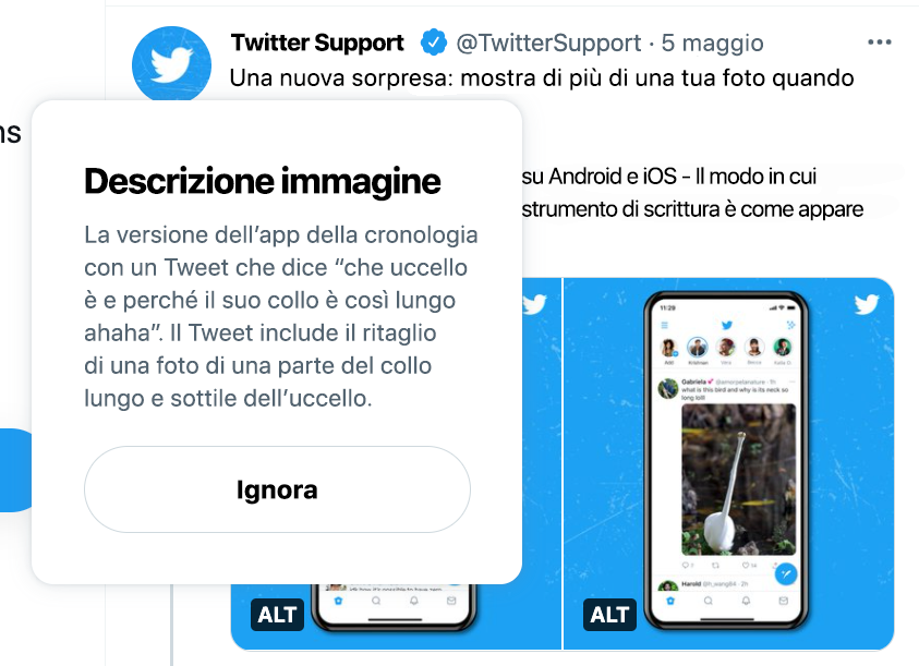 Screenshot del Tweet di @TwitterSupport che mostra la descrizione immagine sopra l'etichetta ALT sull'app Web. La cronologia è sullo sfondo.