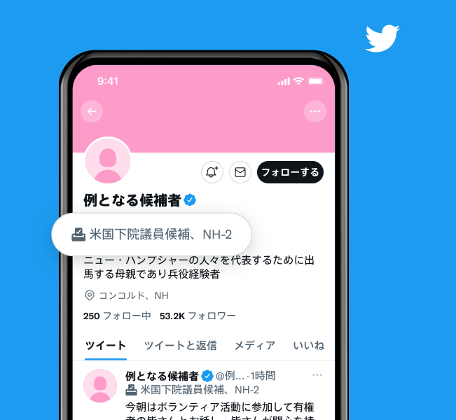 「米国下院議員候補、NH-2」というラベルが付いた候補者アカウントのプロフィールの例