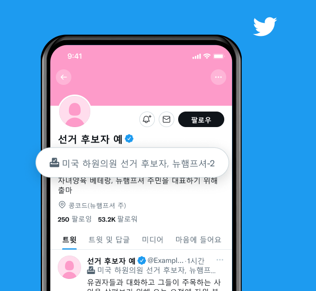 '미국 하원 후보, NH-2'라는 라벨이 있는 후보자 프로필의 예