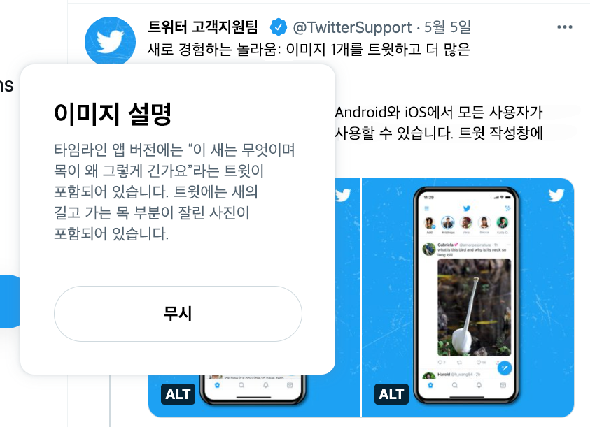 웹용 앱의 ALT 배지 위에 이미지 설명을 표시하는 @TwitterSupport 트윗의 스크린샷. 타임라인이 배경에 있습니다.