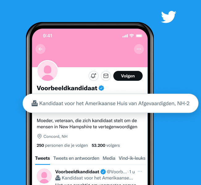 Voorbeeld kandidaatsprofiel met het label \'Kandidaat voor het Amerikaanse Huis, NH-2\'