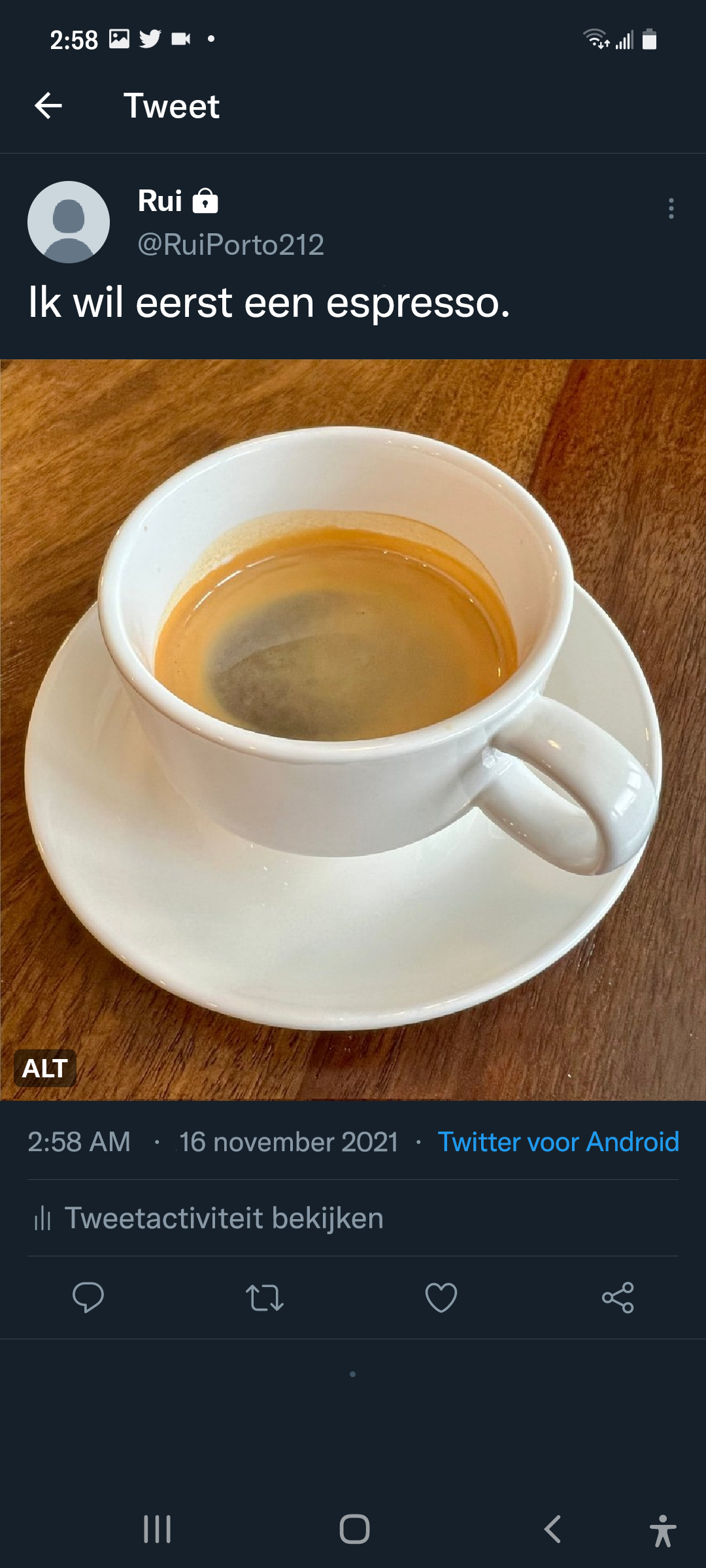 Screenshot van de geplaatste Tweet met de ALT-badge op de afbeelding.