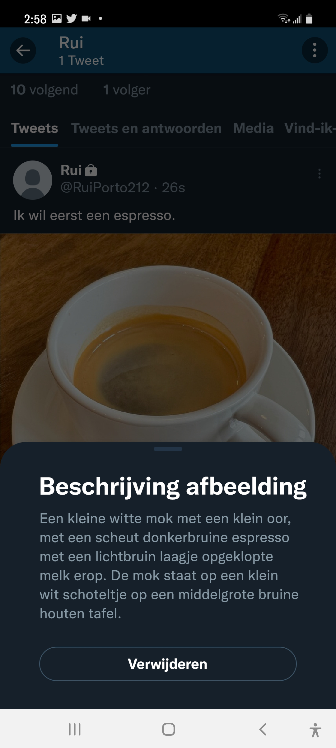 Screenshot van de geplaatste Tweet met de getoonde afbeeldingsbeschrijving. 'Afbeeldingsbeschrijving' is de titel. Er volgt een knop Verwijderen na de beschrijving.