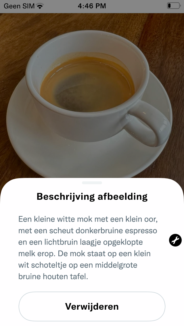 Screenshot van de geplaatste Tweet met de getoonde afbeeldingsbeschrijving. 'Afbeeldingsbeschrijving' is de titel. Er volgt een knop Verwijderen na de beschrijving.