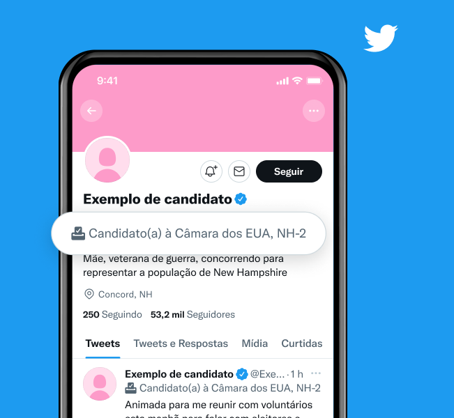 Exemplo de perfil de candidato com rótulo que diz "Candidato à Câmara dos EUA, NH-2"