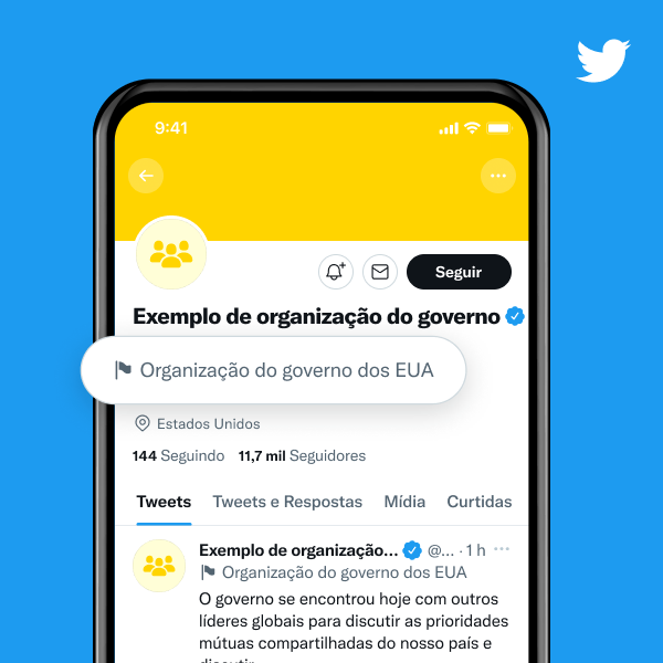 Exemplo de perfil de organização governamental com rótulo que diz "Organização do governo dos EUA"