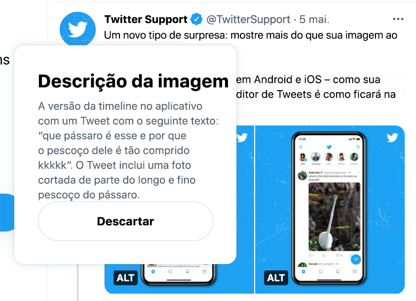 Captura de tela do Tweet do @TwitterSupport mostrando a descrição da image acima do selo ALT no aplicativo da web. A timeline está em segundo plano.