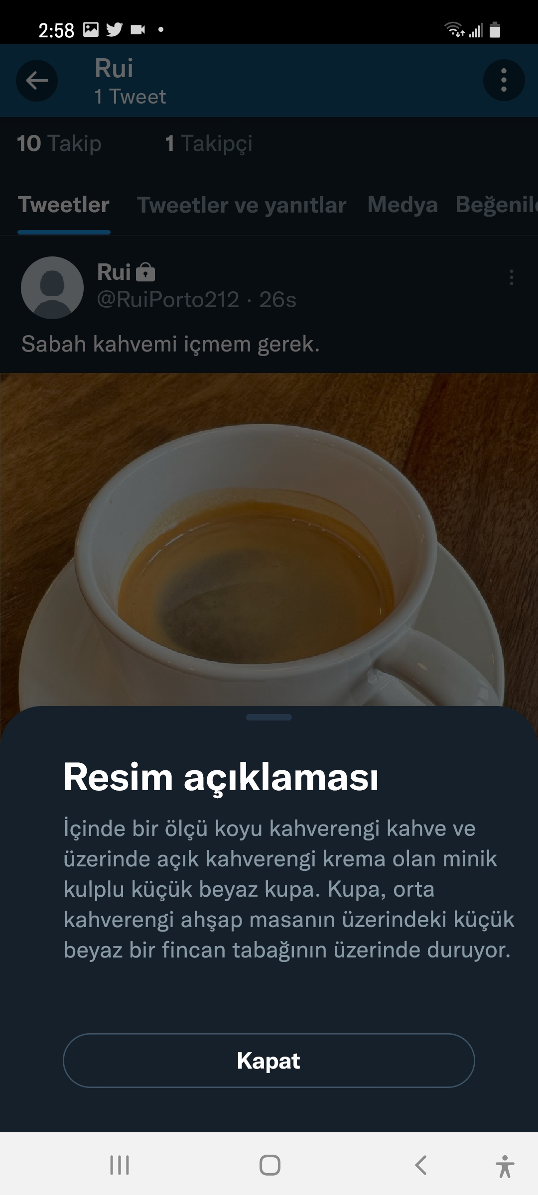Görünen resim açıklamasıyla birlikte yayınlanan Tweetin ekran görüntüsü. Başlık "Resim açıklaması" şeklindedir ve açıklamadan sonra kapatma düğmesi gelmektedir.